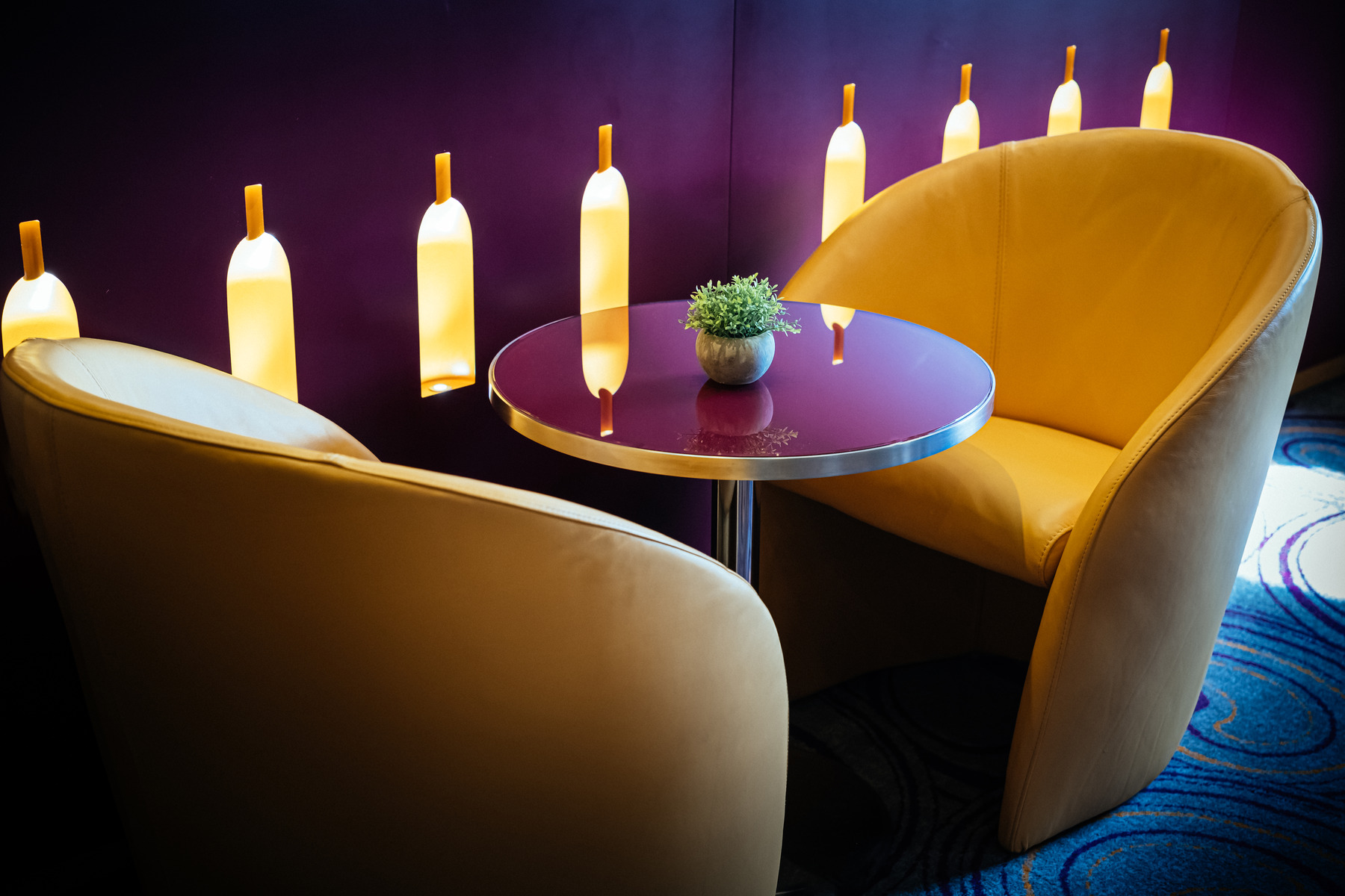 Ambition - Purple Turtle